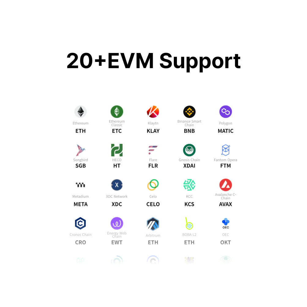 All In One Card Wallet + Backup Card Package (EVM only)