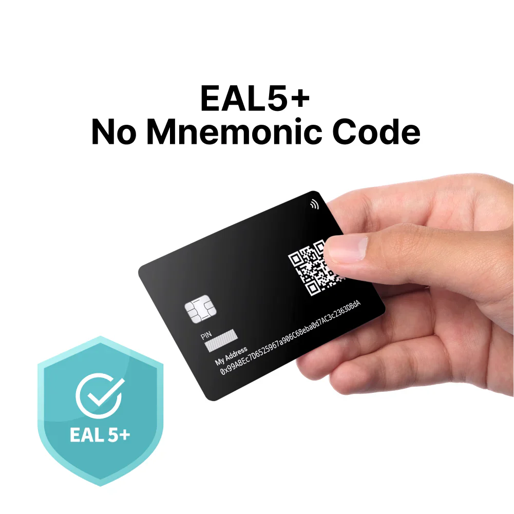 All In One Card Wallet + Backup Card Package (EVM only)